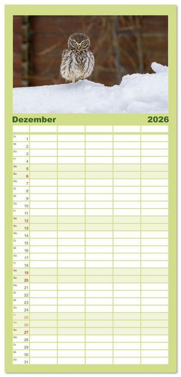 Produktbild: Familienplaner 2026 - Eulen - Fl&uuml;gel der Nacht mit 5 Spalten (Wandkalender, 21 x 45 cm) CALVENDO
