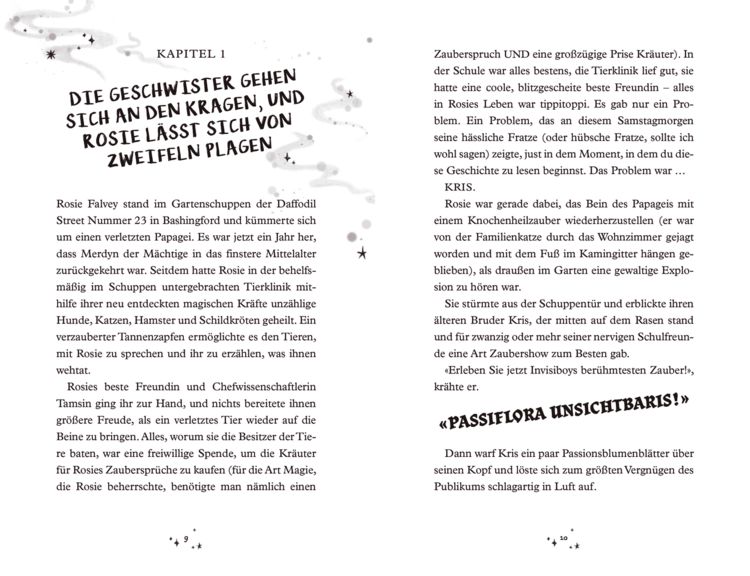 Produktbild: Merdyns magische Missgeschicke - Die Rache des Vandalen