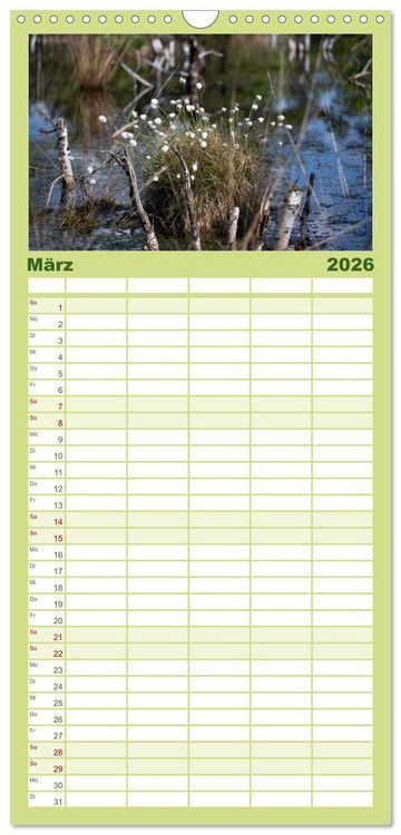 Produktbild: Familienplaner 2026 - Hohes Moor Oldendorf mit 5 Spalten (Wandkalender, 21 x 45 cm) CALVENDO
