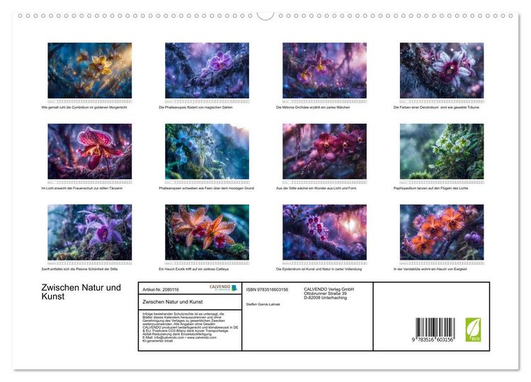 Produktbild: Zwischen Natur und Kunst (hochwertiger Premium Wandkalender 2026 DIN A2 quer), Kunstdruck in Hochglanz