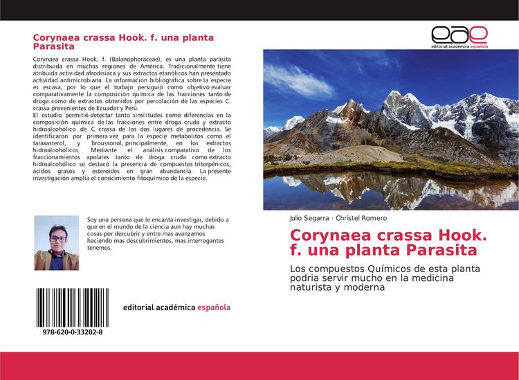 Produktbild: Corynaea crassa Hook. f. una planta Parasita