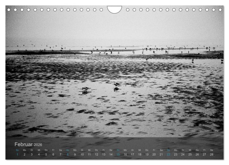Produktbild: Seest&uuml;cke. Schwarzwei&szlig;e Nordseeimpressionen 2026 (Wandkalender 2026 DIN A4 quer), CALVENDO Monatskalender