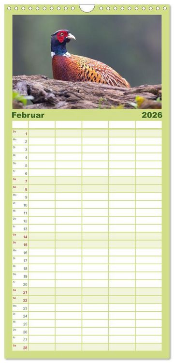 Produktbild: Familienplaner 2026 - Fantastische Vogelwelt Slowenien mit 5 Spalten (Wandkalender, 21 x 45 cm) CALVENDO