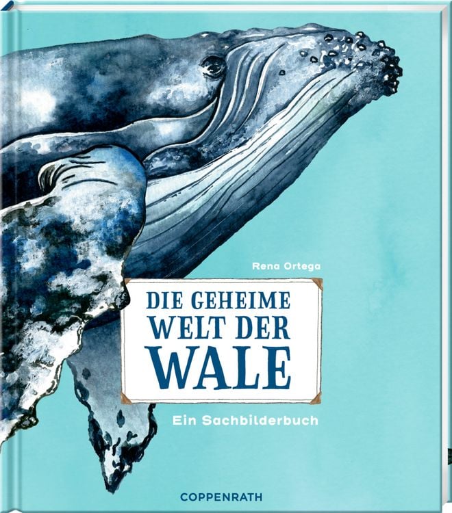 Produktbild: Die geheime Welt der Wale