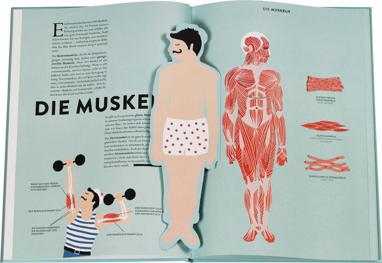 Produktbild: Anatomie