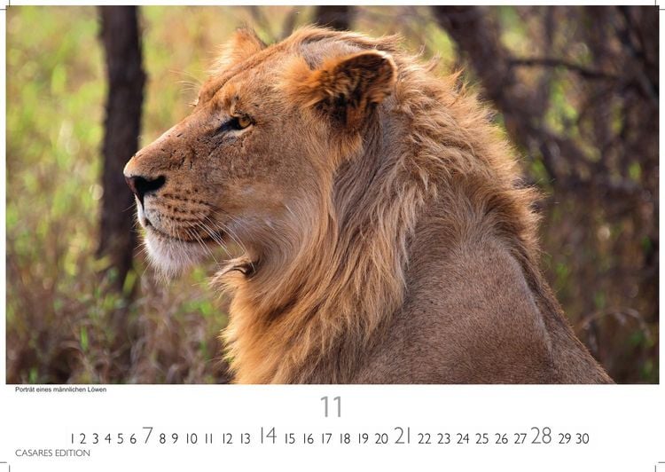 Produktbild: S&uuml;dafrika Kalender 2027 &ndash; Wandkalender | Fotokalender Afrika 24x35 cm - . mit atemberaubenden Natur- und Tierkalenderaufnahmen.