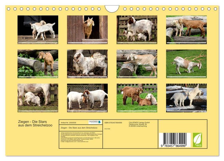 Produktbild: Ziegen - Die Stars aus dem Streichelzoo (Wandkalender 2026 DIN A4 quer), CALVENDO Monatskalender