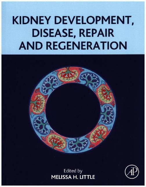 Produktbild: Kidney Development, Disease, Repair and Regeneration