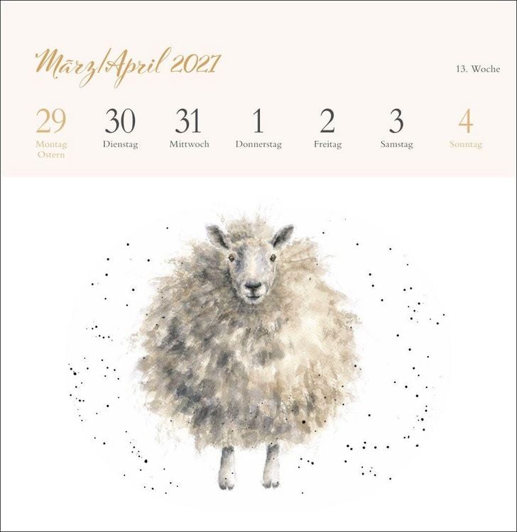 Produktbild: Hannah Dale: Happy Animals Premium-Postkartenkalender 2027