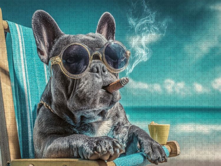 Produktbild: CALVENDO Puzzle Ein Motiv aus dem Kalender Strandgefl&uuml;ster | 1000 Teile Lege-Gr&ouml;&szlig;e 64x48cm Foto-Puzzle f&uuml;r gl&uuml;ckliche Stunden