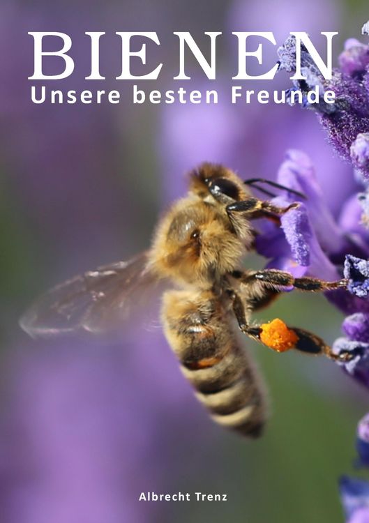 Produktbild: Bienen - Unsere besten Freunde
