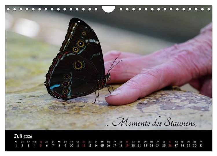 Produktbild: Gut gelaunt durch's Rentenjahr (Wandkalender 2026 DIN A4 quer), CALVENDO Monatskalender