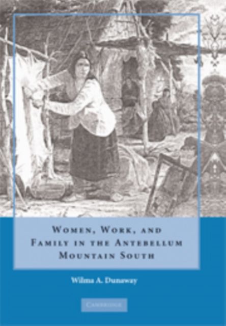 Produktbild: Women, Work, and Family in the Antebellum Mountain South