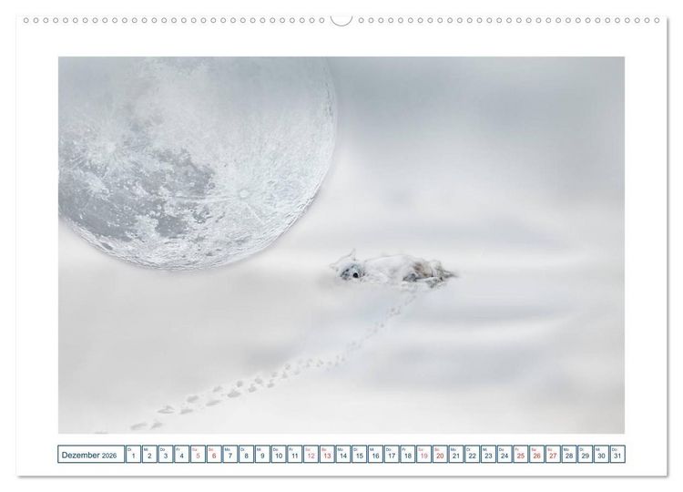 Produktbild: MoonMania (Wandkalender 2026 DIN A2 quer), CALVENDO Monatskalender