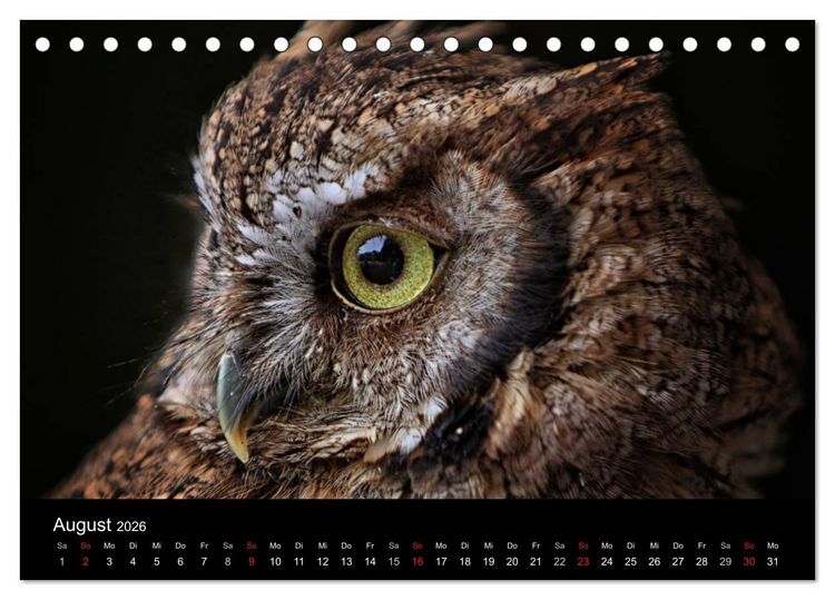 Produktbild: Raubv&ouml;gel zum Greifen nahe (Tischkalender 2026 DIN A5 quer), CALVENDO Monatskalender