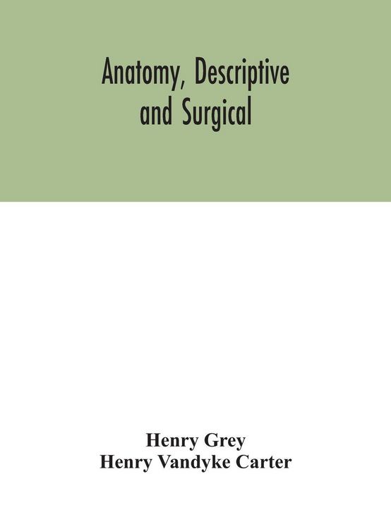 Produktbild: Anatomy, Descriptive And Surgical