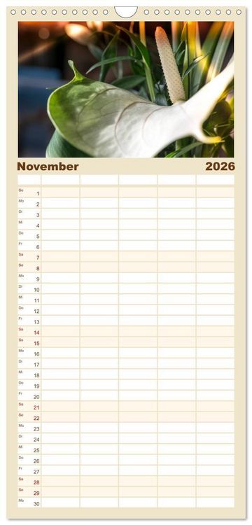 Produktbild: Familienplaner 2026 - Bl&uuml;ten im Retro-Style mit 5 Spalten (Wandkalender, 21 x 45 cm) CALVENDO