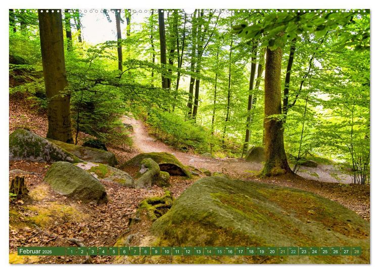 Produktbild: Das Felsenmeer - Natur pur im Odenwald (hochwertiger Premium Wandkalender 2026 DIN A2 quer), Kunstdruck in Hochglanz