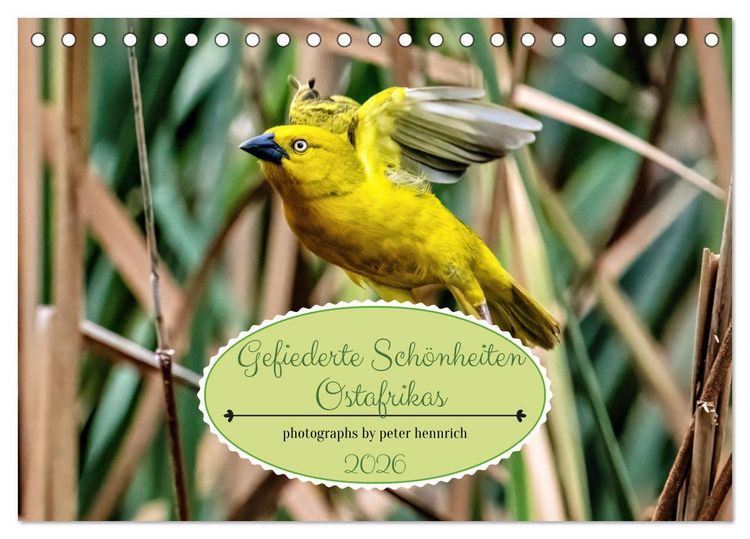 Produktbild: Gefiederte Sch&ouml;nheiten Ostafrikas (Tischkalender 2026 DIN A5 quer), CALVENDO Monatskalender