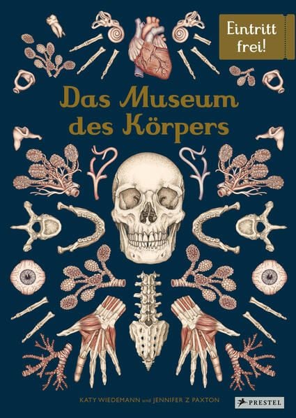 Produktbild: Das Museum des Körpers