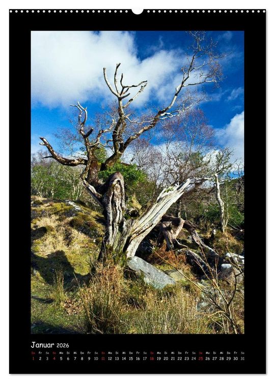 Produktbild: Irland - Romantische Pl&auml;tze auf der Gr&uuml;nen Insel (hochwertiger Premium Wandkalender 2026 DIN A2 hoch), Kunstdruck in Hochglanz