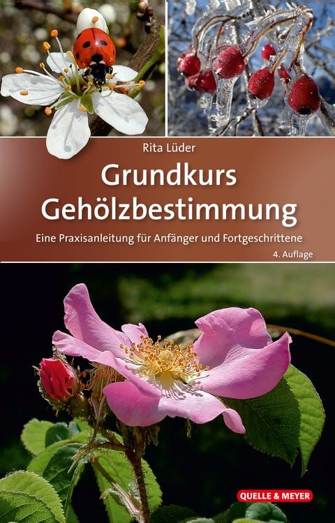 Bild vom Artikel Grundkurs Gehölzbestimmung vom Autor Rita Lüder