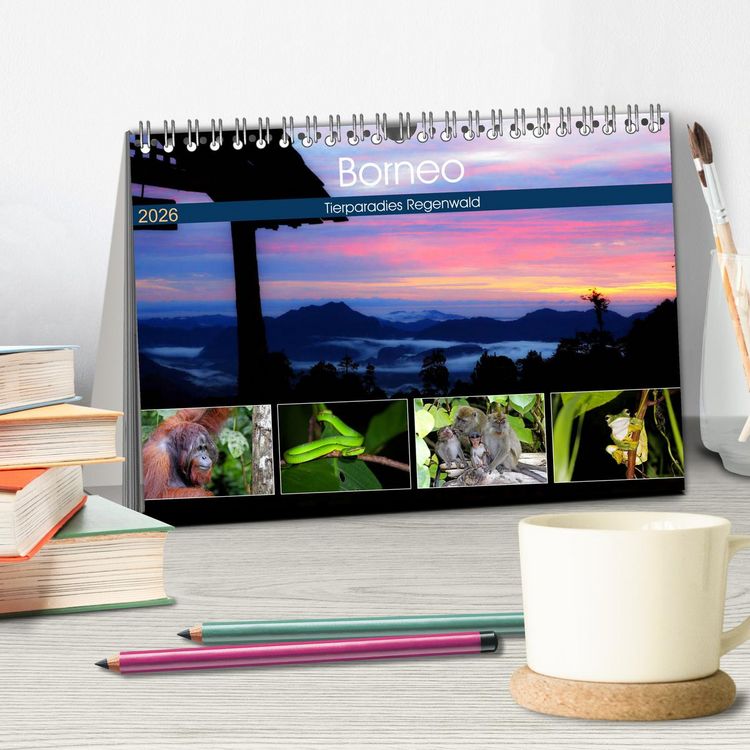 Produktbild: Borneo - Tierparadies Regenwald (Tischkalender 2026 DIN A5 quer), CALVENDO Monatskalender