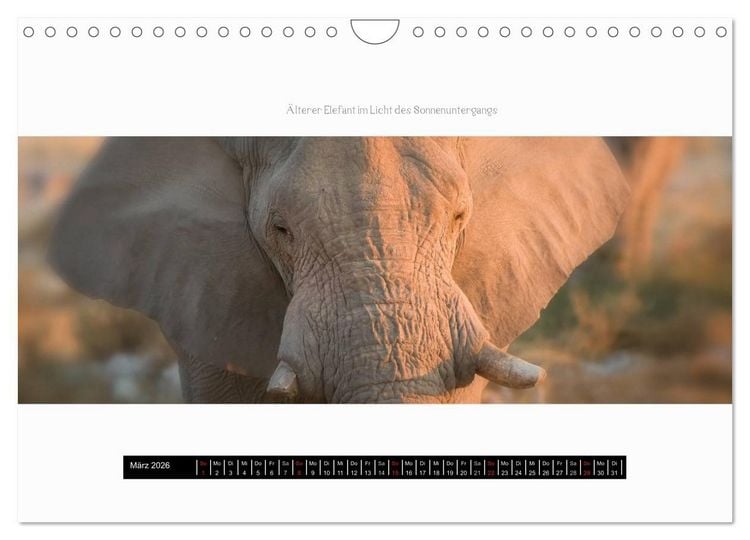 Produktbild: Namibia - Panoramen (Wandkalender 2026 DIN A4 quer), CALVENDO Monatskalender