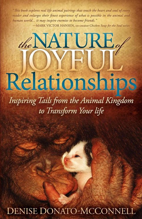 Produktbild: The Nature of Joyful Relationships