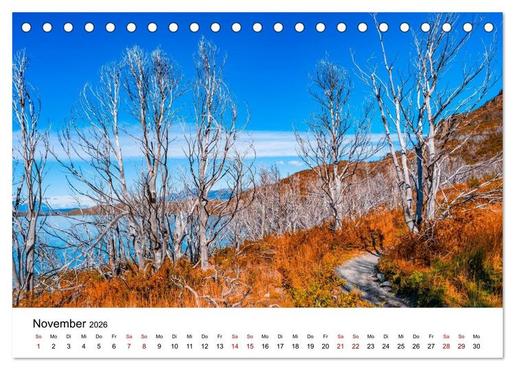 Produktbild: W&auml;lder: die letzte Zuflucht f&uuml;r die Wildnis (Tischkalender 2026 DIN A5 quer), CALVENDO Monatskalender