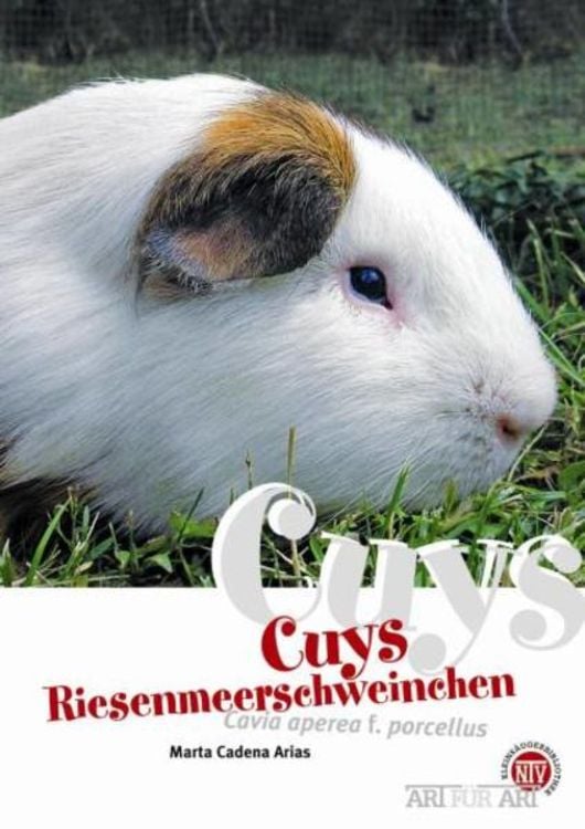Produktbild: Cuys - Riesenmeerschweinchen