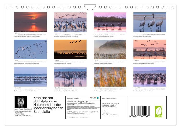 Produktbild: Kraniche am Schlafplatz - im Naturparadies der Mecklenburgischen Seenplatte (Wandkalender 2026 DIN A4 quer), CALVENDO Monatskalender