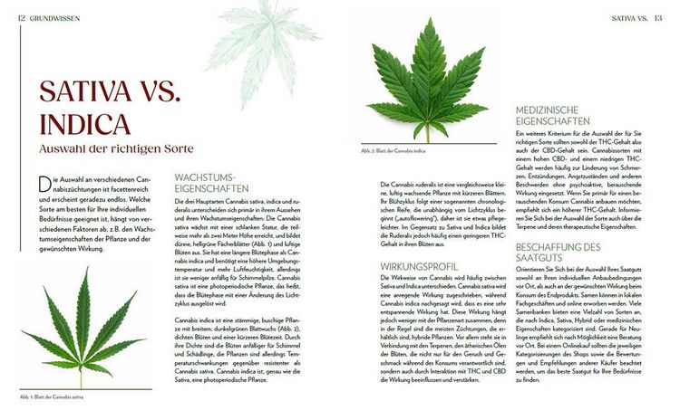 Produktbild: Cannabis-Anbau f&uuml;r Anf&auml;nger