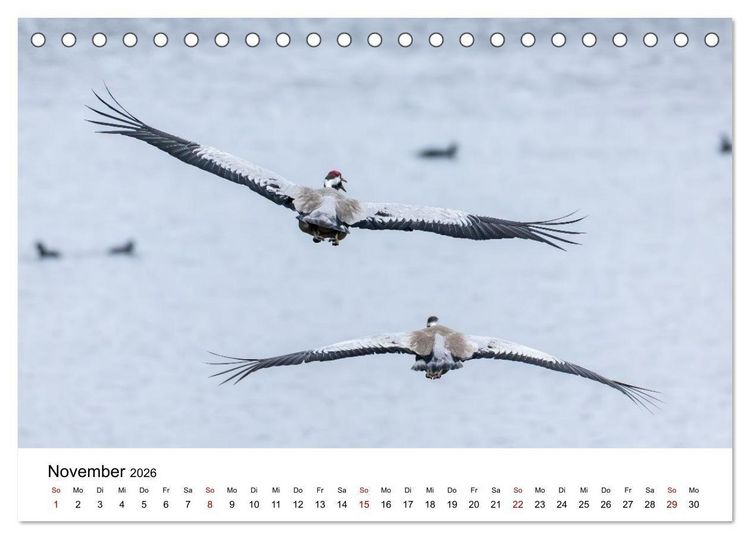 Produktbild: Kraniche im Erzgebirge (Tischkalender 2026 DIN A5 quer), CALVENDO Monatskalender