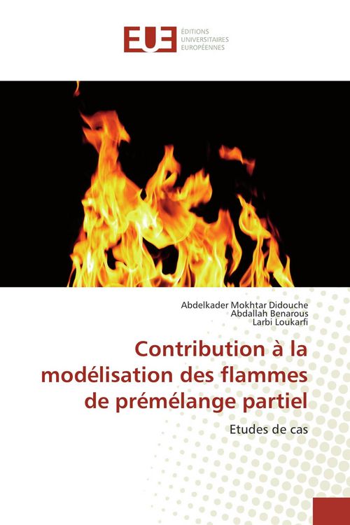 Produktbild: Contribution &agrave; la mod&eacute;lisation des flammes de pr&eacute;m&eacute;lange partiel