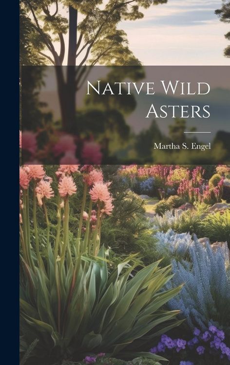 Produktbild: Native Wild Asters
