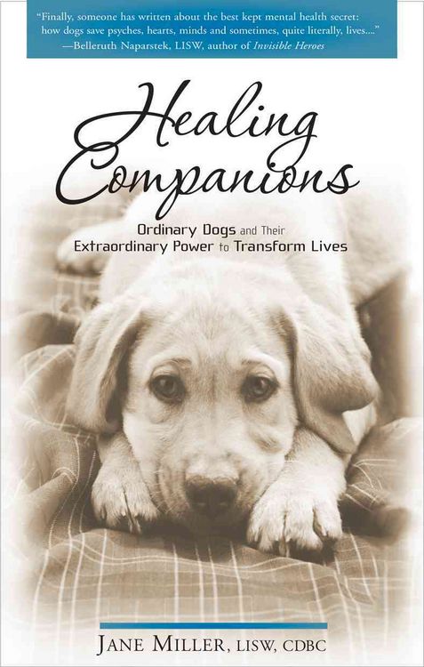 Produktbild: Healing Companions