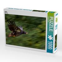 Produktbild: CALVENDO Puzzle Adler 1000 Teile Lege-Gr&ouml;&szlig;e 64 x 48 cm Foto-Puzzle Bild von Ursula Di Chito