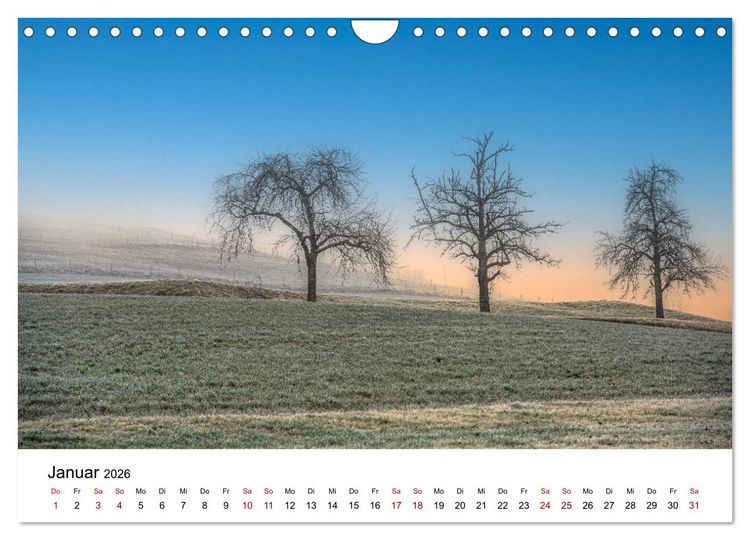 Produktbild: B&auml;ume - Wunder der Natur (Wandkalender 2026 DIN A4 quer), CALVENDO Monatskalender