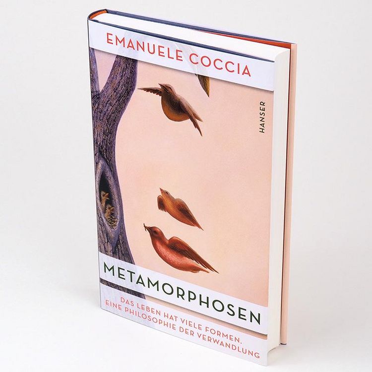 Produktbild: Metamorphosen
