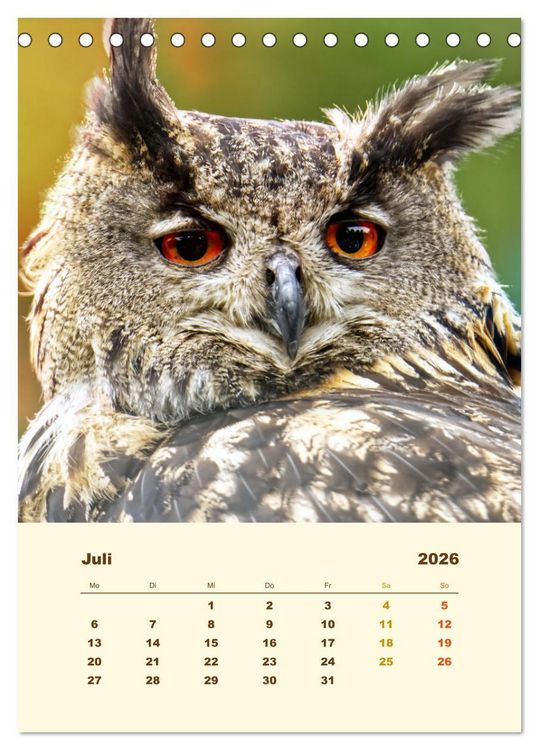 Produktbild: Uhu, die Faszination bernsteinfarbener Augen (Tischkalender 2026 DIN A5 hoch), CALVENDO Monatskalender