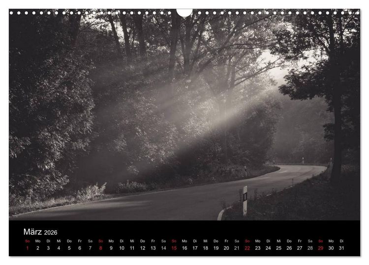 Produktbild: B&auml;ume trees 2026 (Wandkalender 2026 DIN A3 quer), CALVENDO Monatskalender