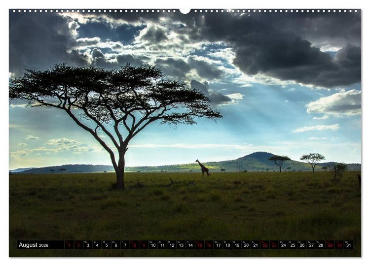 Produktbild: Tansania - Tierwanderung in der Serengeti (Wandkalender 2026 DIN A2 quer), CALVENDO Monatskalender