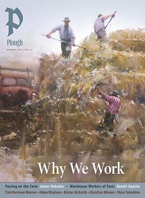 Produktbild: Plough Quarterly No. 43 - Why We Work