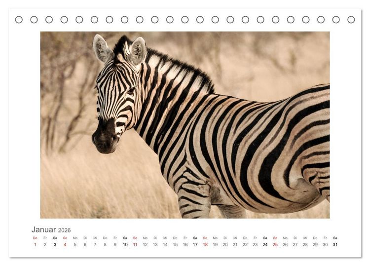 Produktbild: Namibia - unterwegs mit Julia Hahn (Tischkalender 2026 DIN A5 quer), CALVENDO Monatskalender