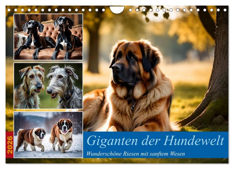 Produktbild: Giganten der Hundwelt (Wandkalender 2026 DIN A4 quer), CALVENDO Monatskalender