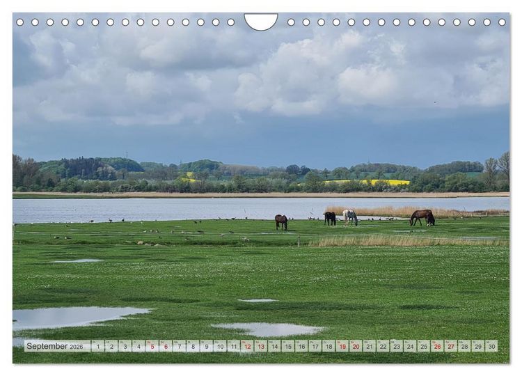 Produktbild: Timmendorfer Strand und Umgebung (Wandkalender 2026 DIN A4 quer), CALVENDO Monatskalender