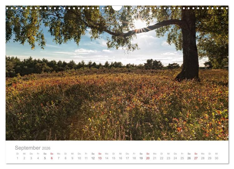 Produktbild: Lichtreise durch Schleswig-Holstein (Wandkalender 2026 DIN A3 quer), CALVENDO Monatskalender