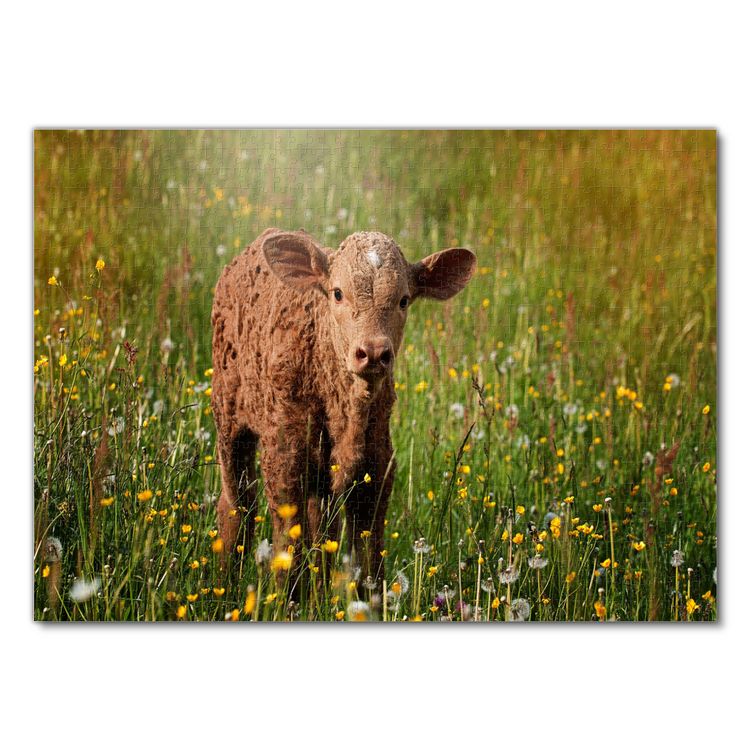 Produktbild: Lais Puzzle Kalb 1000 Teile