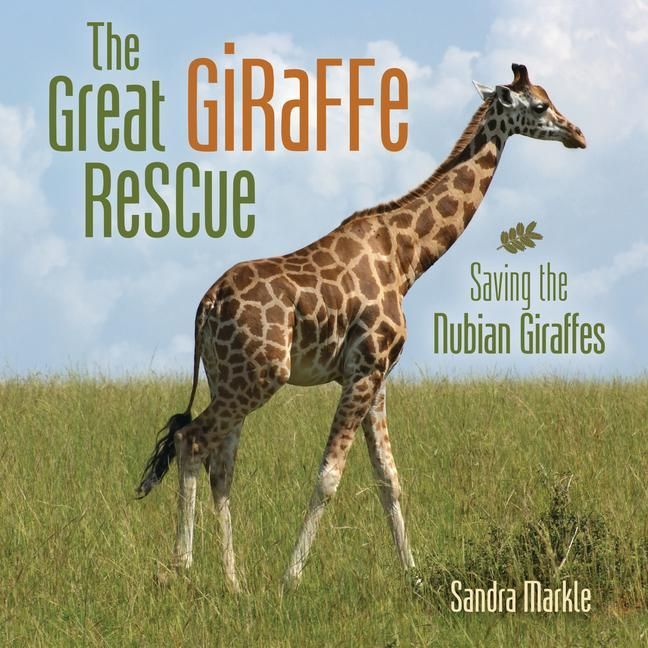 Produktbild: The Great Giraffe Rescue